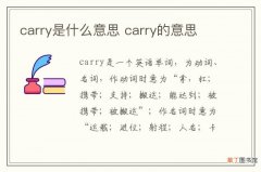 carry是什么意思 carry的意思