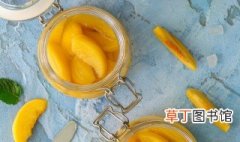 桃罐头的做法大全 桃罐头怎么做好吃