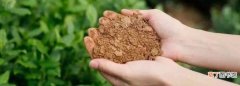 菜籽饼简单发酵方法，菜籽饼怎么发酵做肥料最简单的方法