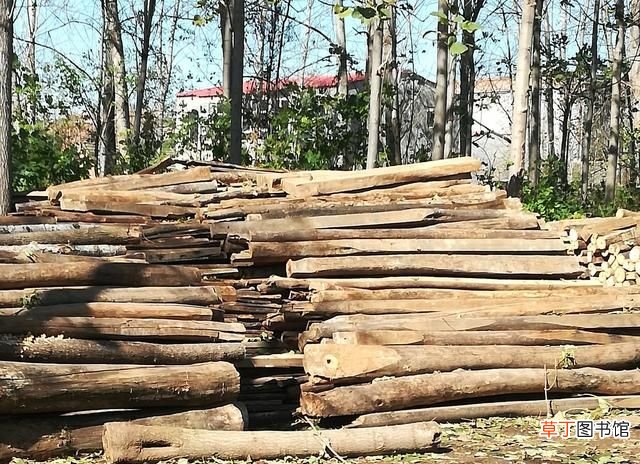 在农村怎样收旧木头
