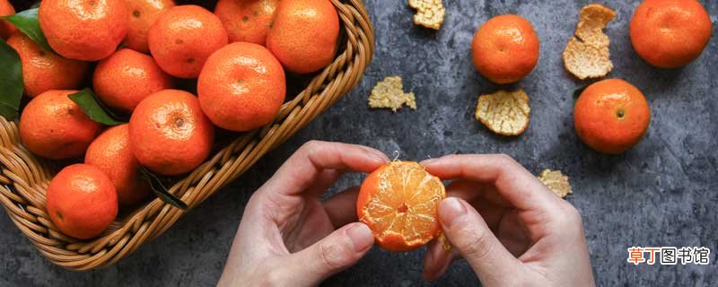 广柑和橙子的区别 广柑是橘子还是橙子