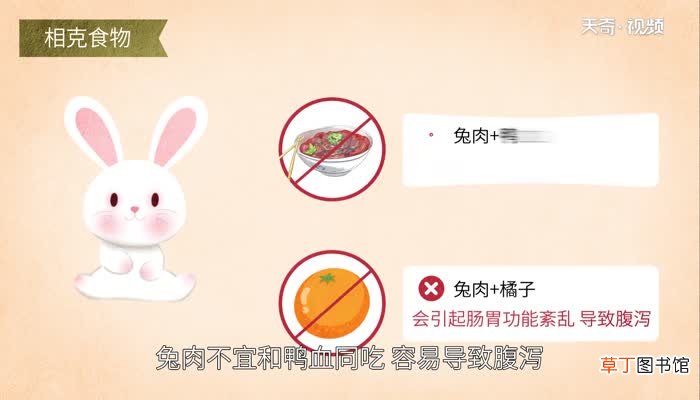 兔肉不能和什么一起吃吃兔肉的禁忌