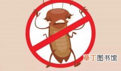 家里很多蟑螂怎么解决 家里有蟑螂怎么办