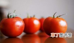 西红柿在阳台种植技术 阳台种西红柿种植方法