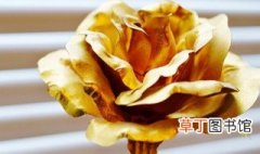 金玫瑰的花语是什么 金玫瑰花语到底是什么