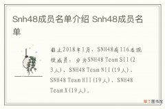 Snh48成员名单介绍 Snh48成员名单