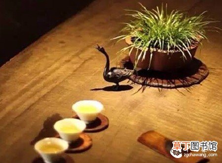 【茶与健康】秋分过 寒露起 饮茶应季需合理