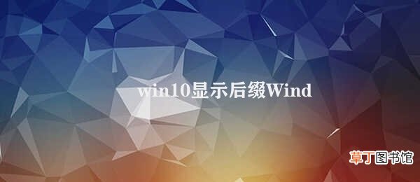 win10显示后缀 Windows 10显示或隐藏文件名后缀的方法