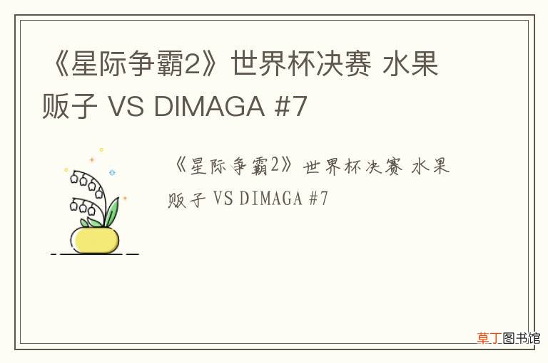 《星际争霸2》世界杯决赛 水果贩子 VS DIMAGA #7