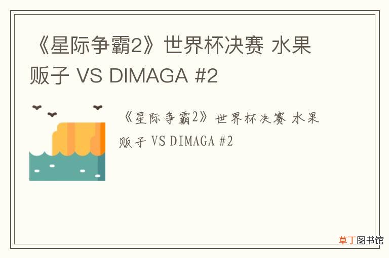《星际争霸2》世界杯决赛 水果贩子 VS DIMAGA #2