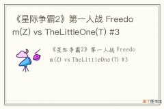 Z 《星际争霸2》第一人战 Freedom vs TheLittleOne(T) #3