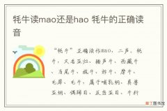 牦牛读mao还是hao 牦牛的正确读音