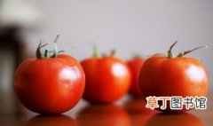 怎么挑好的西红柿 怎样挑选西红柿好吃的