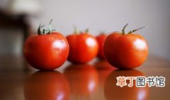 西红柿怎样挑选好吃 西红柿怎么选才好