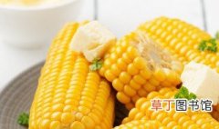 煮熟的玉米可以放冰箱保鲜吗，煮熟的玉米可以直接放在冰箱吗