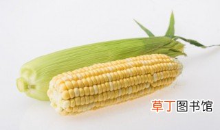 玉米是碱性还是酸性食物 玉米是酸性食物还是碱性食物?