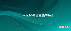 win10停止更新 Windows 10系统无法更新该怎么办