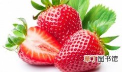 怎样挑选草莓好吃又健康 怎么样的草莓最好吃
