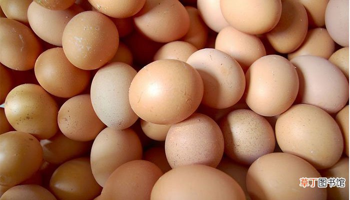 初生蛋和普通鸡蛋有什么不一样 初生蛋和普通鸡蛋营养有差别吗
