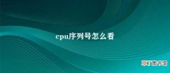 cpu序列号怎么看 CPU序列号的查看方法