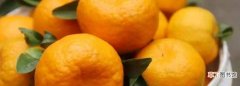 桔子的功效与作用，橘子和橙子杂交出来的是什么水果
