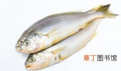 鱼籽鱼泡炖多久 鱼籽和鱼白炖多久能熟