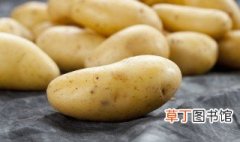 土豆炖豆角需要炖多久能熟 土豆炖豆角多长时间熟