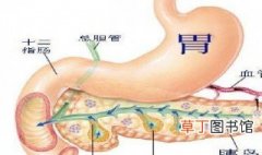 胰腺的功能和作用 胰腺的功能和作用是什么