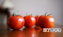 西红柿属于水果还是蔬菜 西红柿到底属于水果还是蔬菜呢