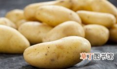 发芽土豆怎么种 发芽土豆怎么种植过程