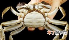 煮熟的螃蟹放在冷冻能放多久 煮熟的螃蟹放在冷冻具体能放多久