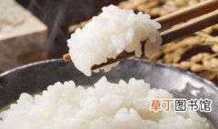 米饭怎么做好吃还松软又香 怎么样煮出来的米饭又松散又香