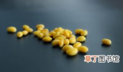 干黄豆保质期多长时间 黄豆怎么保存