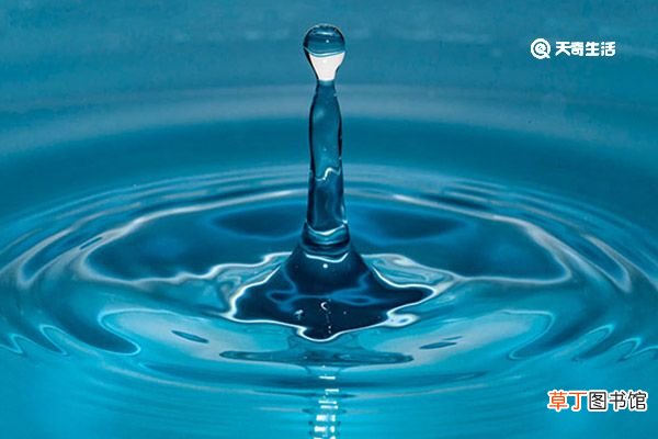 浆水有什么功效 浆水有什么功效呢