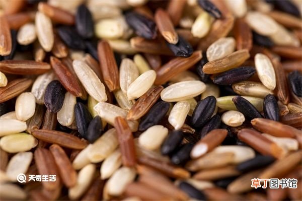 红糙米的功效与作用 红糙米的功效与作用是什么