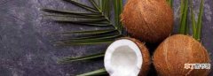 椰青的白色果肉有毒，椰子壳里面白色的东西可以吃吗