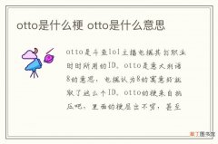 otto是什么梗 otto是什么意思