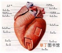 心脏拍片子能查出心梗吗,如果有心梗在心电图上能看出来吗？