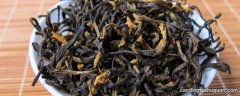 英德茶最早种植什么位置