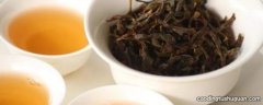 茶叶蜜兰香单丛属于什么茶