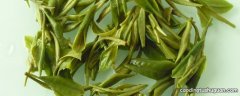 绿杨春属于什么种类的茶叶