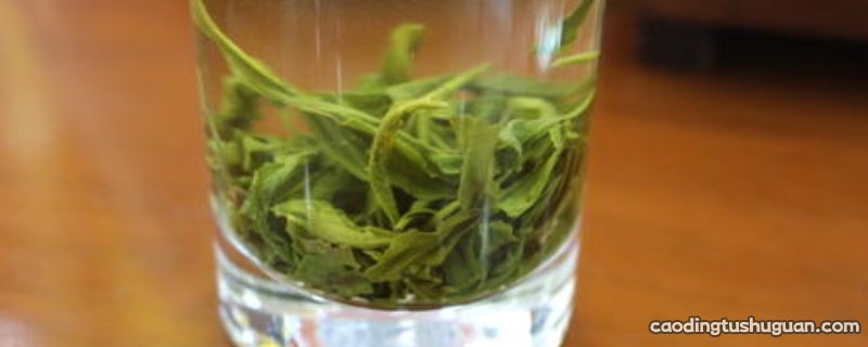 陕青茶叶属于什么茶
