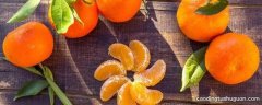 橘子种类及名称