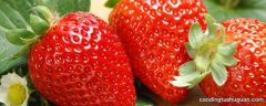草莓是怎么形成的