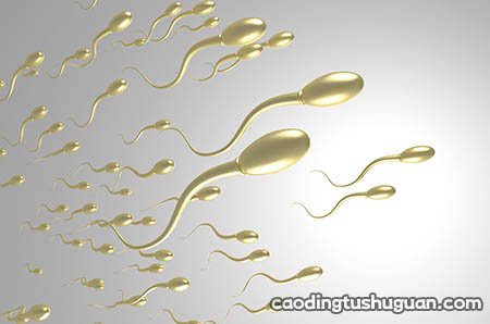 胚胎停止发育跟精子有关吗 男性也需要调养身体