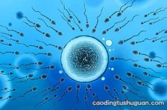 胚胎停育的原因有哪些