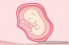 孕中期运动有讲究