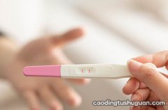 孕中线可以辨别宝宝性别吗？