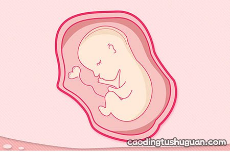孕吐越厉害胎儿越健康吗