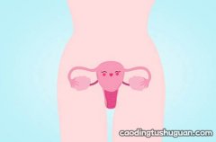 怀孕后肚子上的黑线是怎么回事